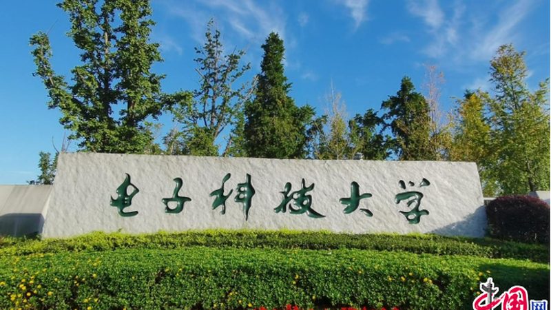 揭秘电子加工厂：揭秘十大品牌背后的秘密