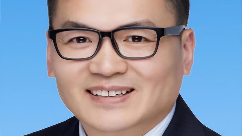 电解电容在电子电路中的应用与选择要点**